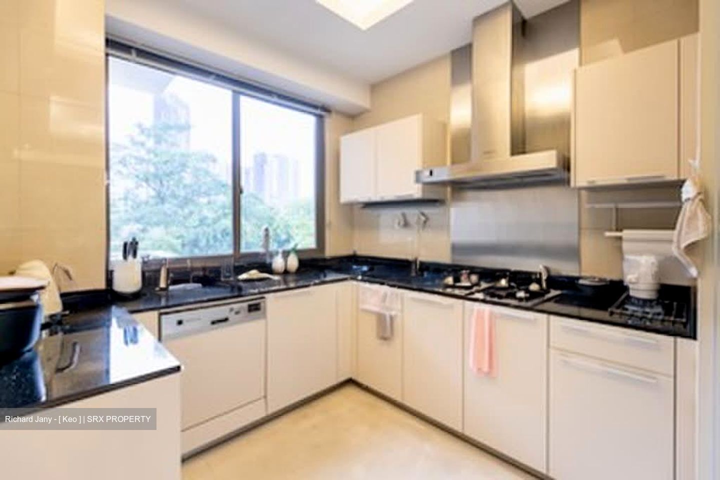 Parkview Eclat (D10), Condominium #597233921